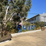 Little Darling Coffee Roasters - 