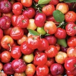 raw acerola juice