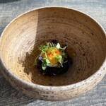 レヴォ - 〜青首鴨〜