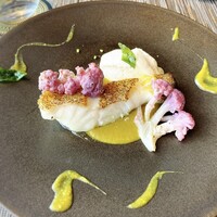 SPICE LAB TOKYO - 