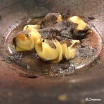 カーサ・デル・チーボ - 黒ﾄﾘｭﾌとｼｬﾓﾛｯｸのﾄﾚﾆﾃｨｰﾆ ｲﾝﾌﾞﾛｰﾄﾞ