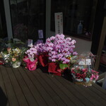 本家 第一旭 - 祝花