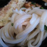 Shirakawa Udon - ツヤツヤの麺