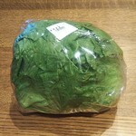 ディオ - レタス (税抜)119円 (2022.01.17)