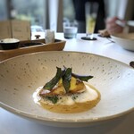 MAISON LAFITE - ◆真名鰹（宇部）のムニエル、水前寺菜、干しエビのソース