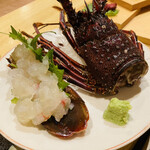 Ika Sushi Dainingu Sensuke - 伊勢海老