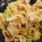 名物すた丼の店 - ミニすた丼