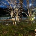 ウエスト青山ガーデン - テラス席　夜の感じ