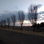 タイ料理 メーパオ - 