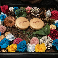 VELROSIER - 