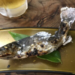 山マタギと海番屋 - イワナ　>* ))))><