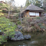 Inodakohi - 店スグ横の美しい庭・・池の水も凍る1月の朝