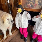 ログペンションセシルクラブ - 