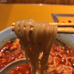 川崎タンタン - 麺アップ