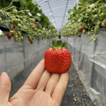 姫路ハートフル観光農園 - 