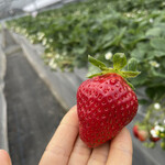 姫路ハートフル観光農園 - 