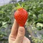 姫路ハートフル観光農園 - 