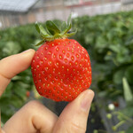 姫路ハートフル観光農園 - 