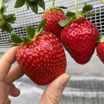 姫路ハートフル観光農園 - 