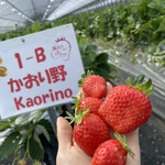 姫路ハートフル観光農園 - 