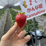 姫路ハートフル観光農園 - 