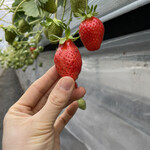 姫路ハートフル観光農園 - 