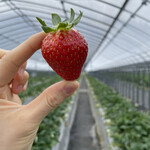 姫路ハートフル観光農園 - 