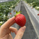 姫路ハートフル観光農園 - 