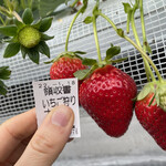 姫路ハートフル観光農園 - 