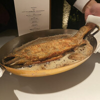 ブレストンコート ユカワタン - 