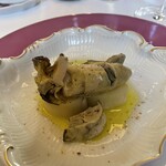 ペレグリーノ - 