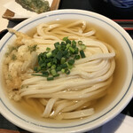 手打うどん 長谷沼 - かけうどん　ネギと揚げ玉は自由