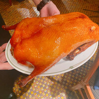 中国飯店 紫玉蘭 - 