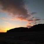 さかなどころ ともさき - 