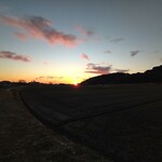 さかなどころ ともさき - 