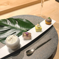 シブ ニシナカス - 