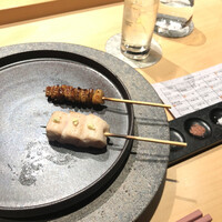 シブ ニシナカス - 