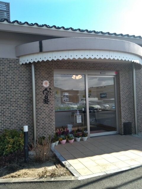 Cafe Himawari photo 4