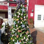 ケープコッド・クックオフ - （2012/12月）店頭のクリスマスツリー