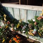 ケープコッド・クックオフ - （2012/12月）店の周囲のクリスマス飾り