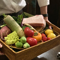 オッジ ダルマット 西麻布店 - 