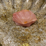 馳走 啐啄一十  - 