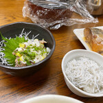 魚力 - あじなめろう、しらすおろし