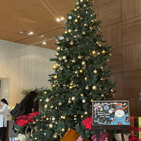 中国料理 四川 - 