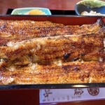 Unagi Kinsui - 