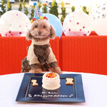 カフェ・スコーラ - わんちゃんアニバーサリーセット新登場！