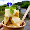 ぱいぬしま氷菓 タマトゥリー商店 - 石垣島の濃厚完熟
パイナップルの島すむーじぃー