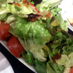 ダバ インディア - グリーンサラダレギュラーサイズ（2013/01/05）