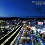 フランス料理 プリドール - 