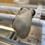 Kanda Sasazushi - 牡蠣をおすしで。仄かに温めた身のよろしさよ。